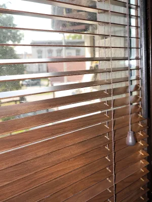 portiernia, nadleśnictwo w Lubsku. okno w zbliżeniu z żaluzją laminowaną